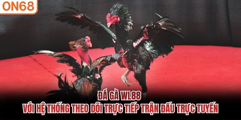 Đá gà WL88 với hệ thống theo dõi trực tiếp trận đấu trực tuyến đá gà wl88