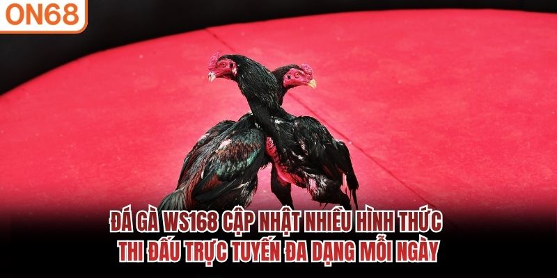 Đá gà WS168 cập nhật nhiều hình thức thi đấu trực tuyến đa dạng mỗi ngày đá gà ws168