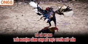 đá gà ws168