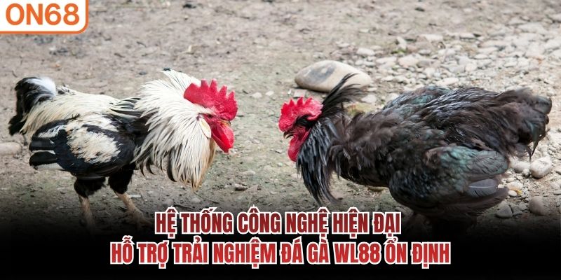 Hệ thống công nghệ hiện đại hỗ trợ trải nghiệm đá gà WL88 ổn định đá gà wl88